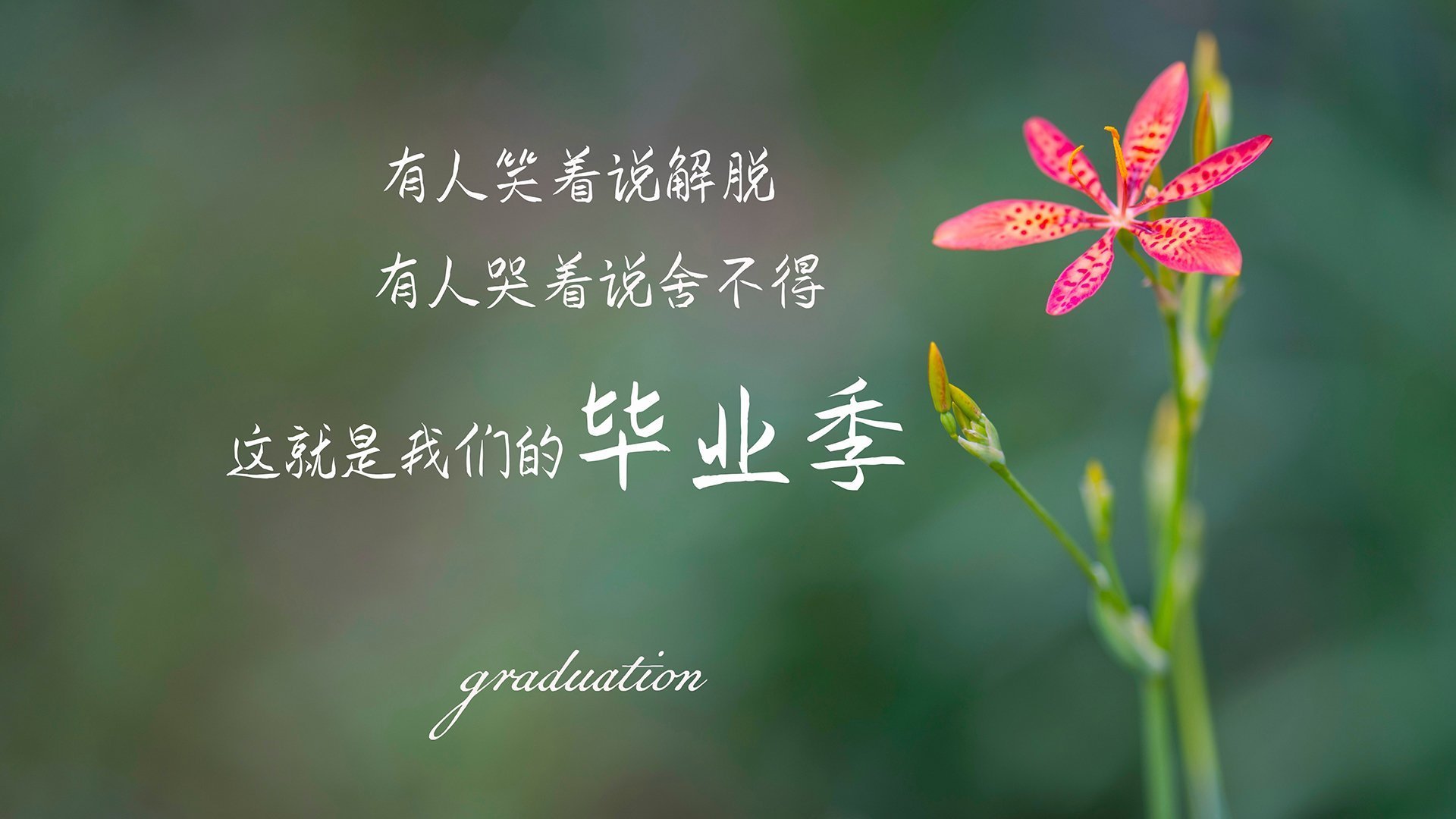 “意甲老牌强队奋勇追赶，比赛精彩纷呈”，意甲老大