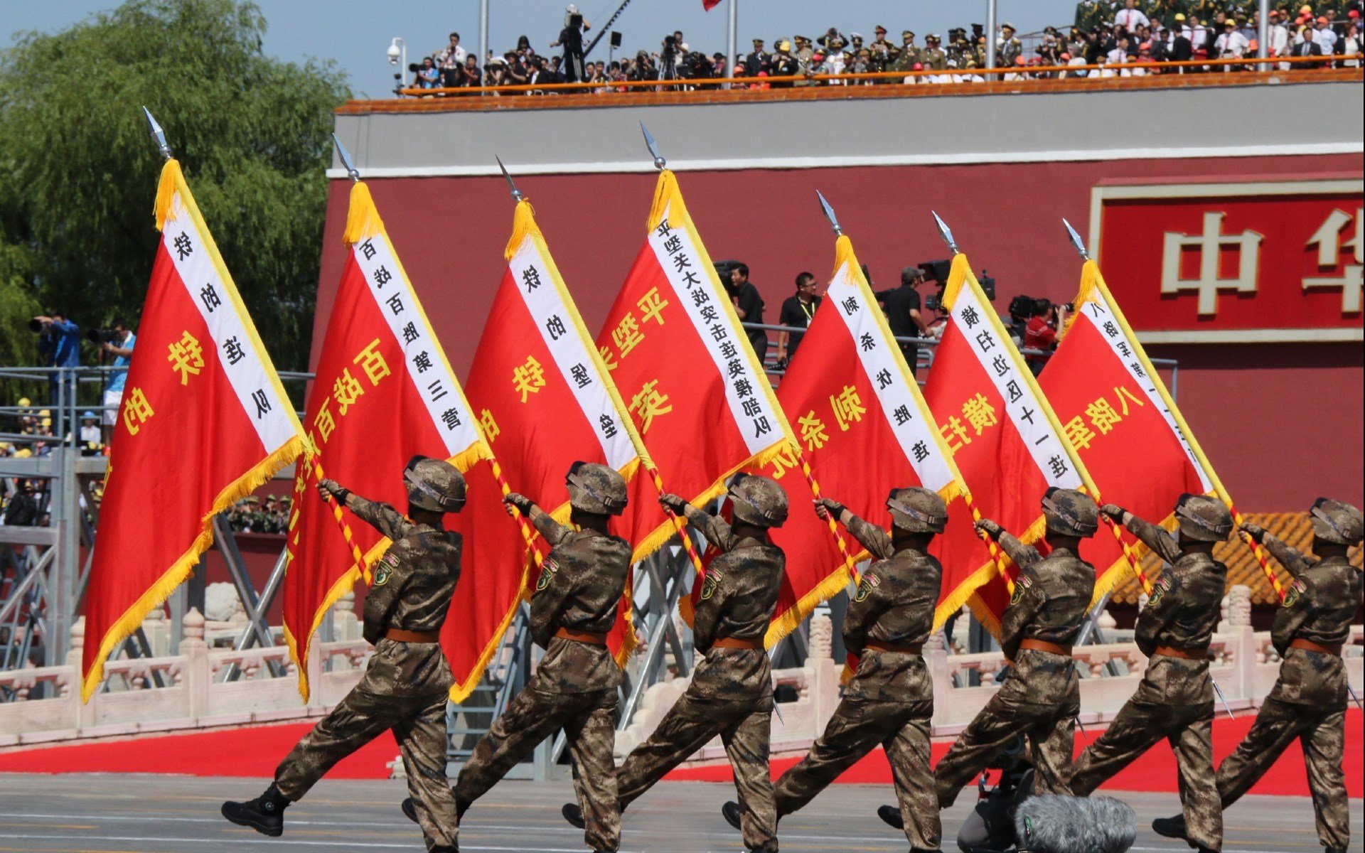 全国女排联赛，巾帼英豪争夺荣耀，全国女排联赛百科