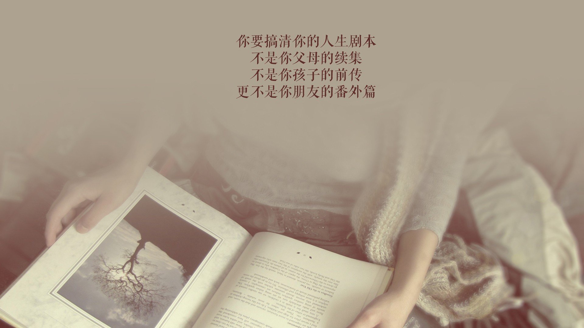 法甲引援潮涌现，豪门扩充实力，法甲介绍