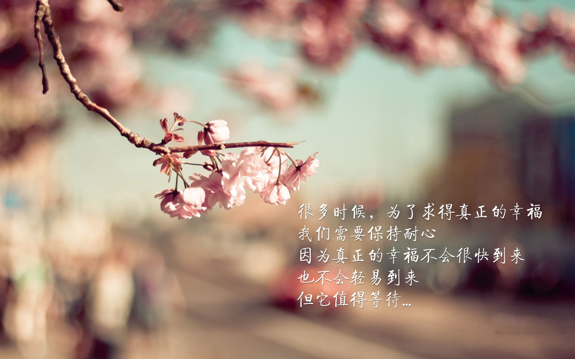 米兰体育正版平台-大阪樱花备战有序，为重要比赛做足准备，大阪樱花开放时间