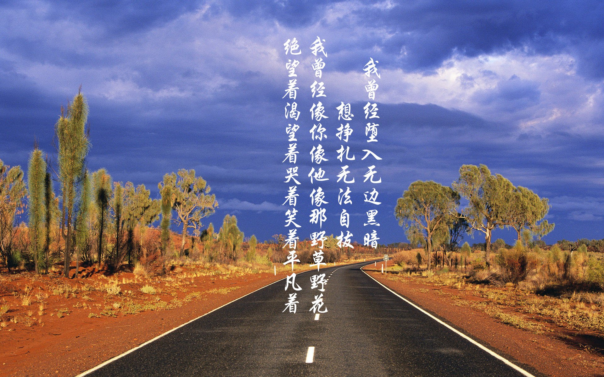 大阪樱花连续获胜保持良好势头，大阪樱花近期战绩