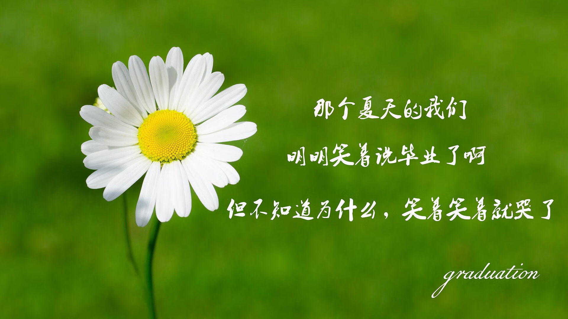 山东英达再胜福建，保持不败纪录，山东英达医疗