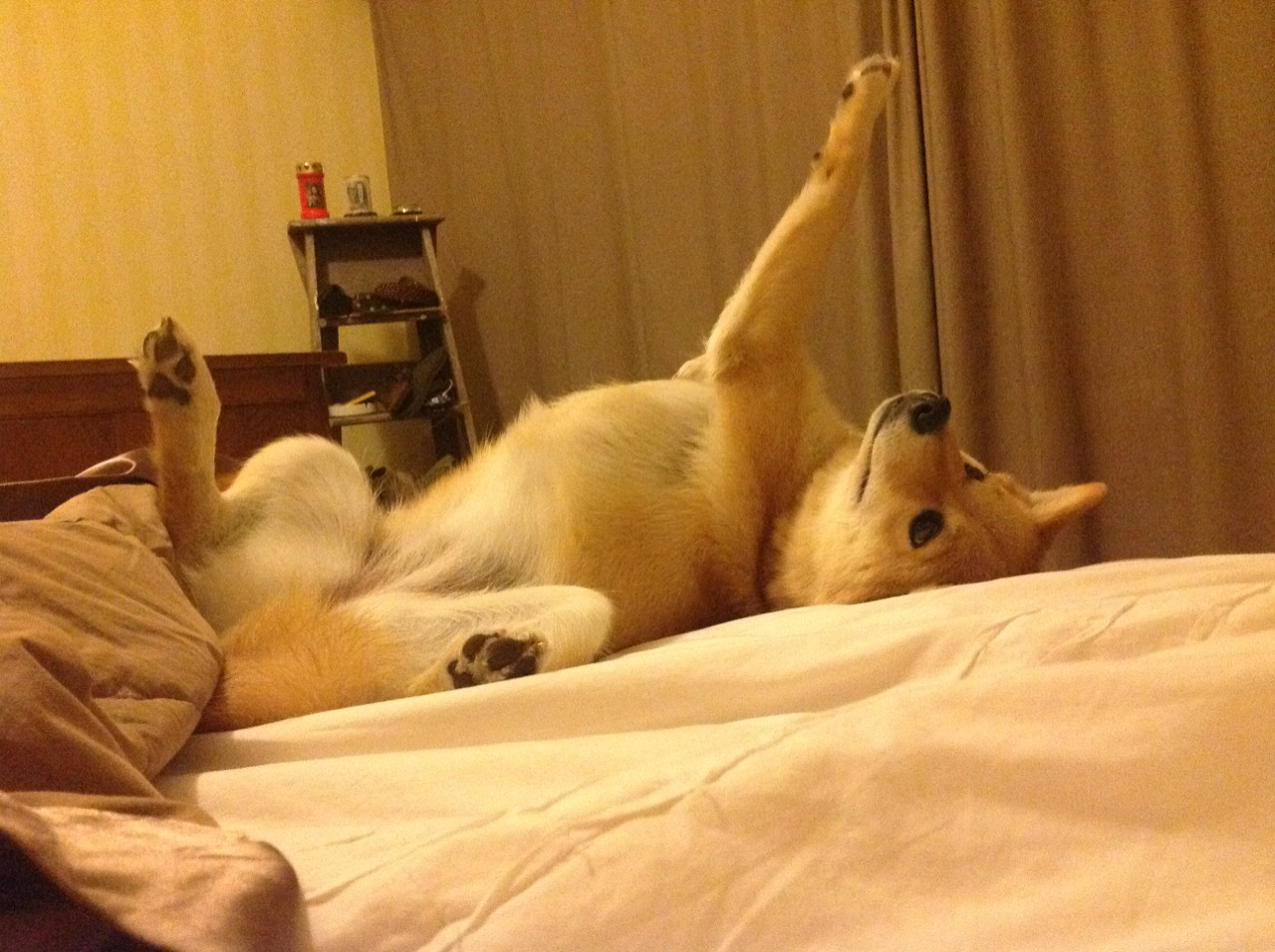 猛龙状态持续下滑，连续吞下败绩，猛龙晋级