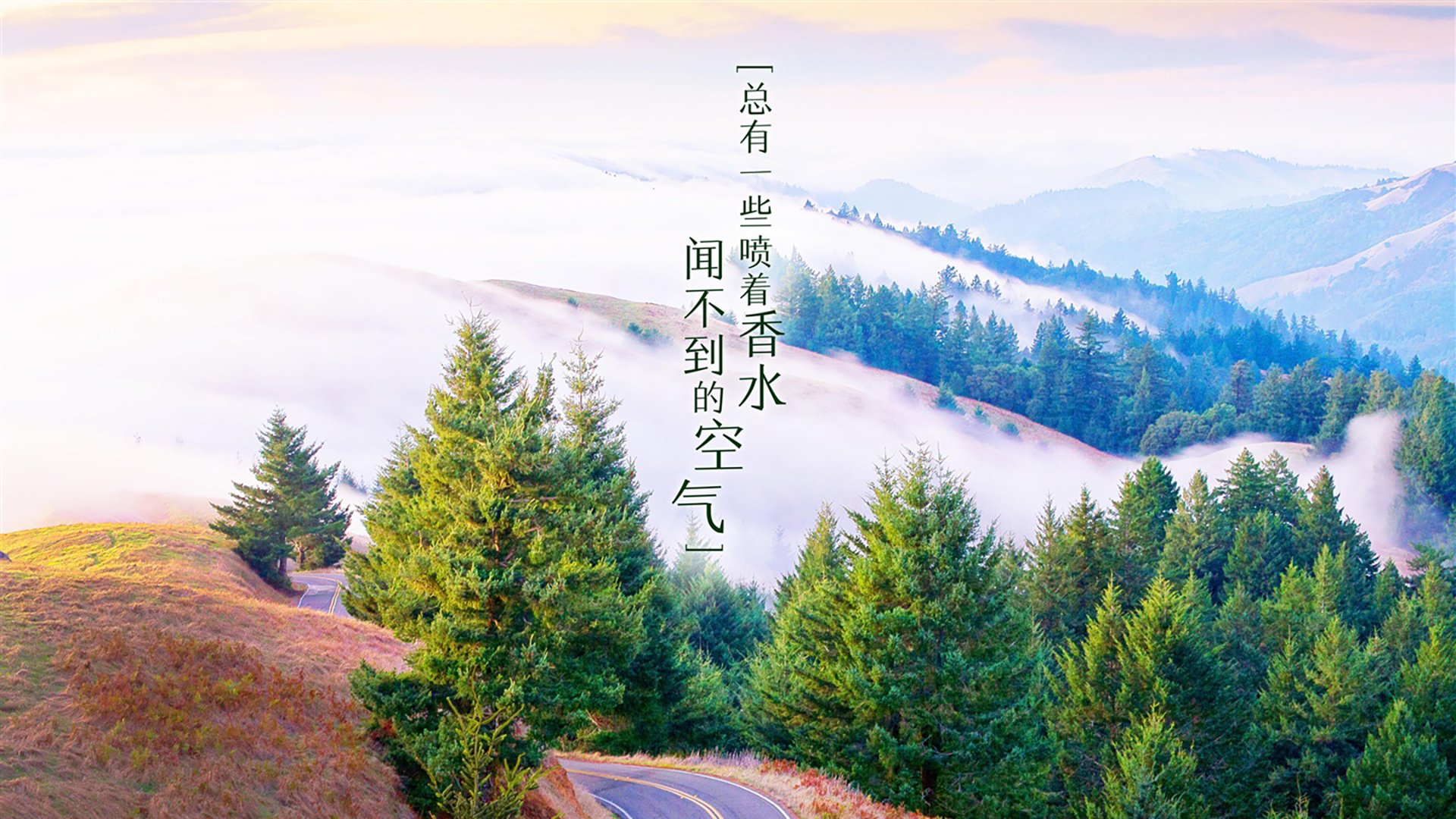米兰全站APP下载-纽伦堡队目前排名中游，备战与对手的比赛，纽伦堡ds