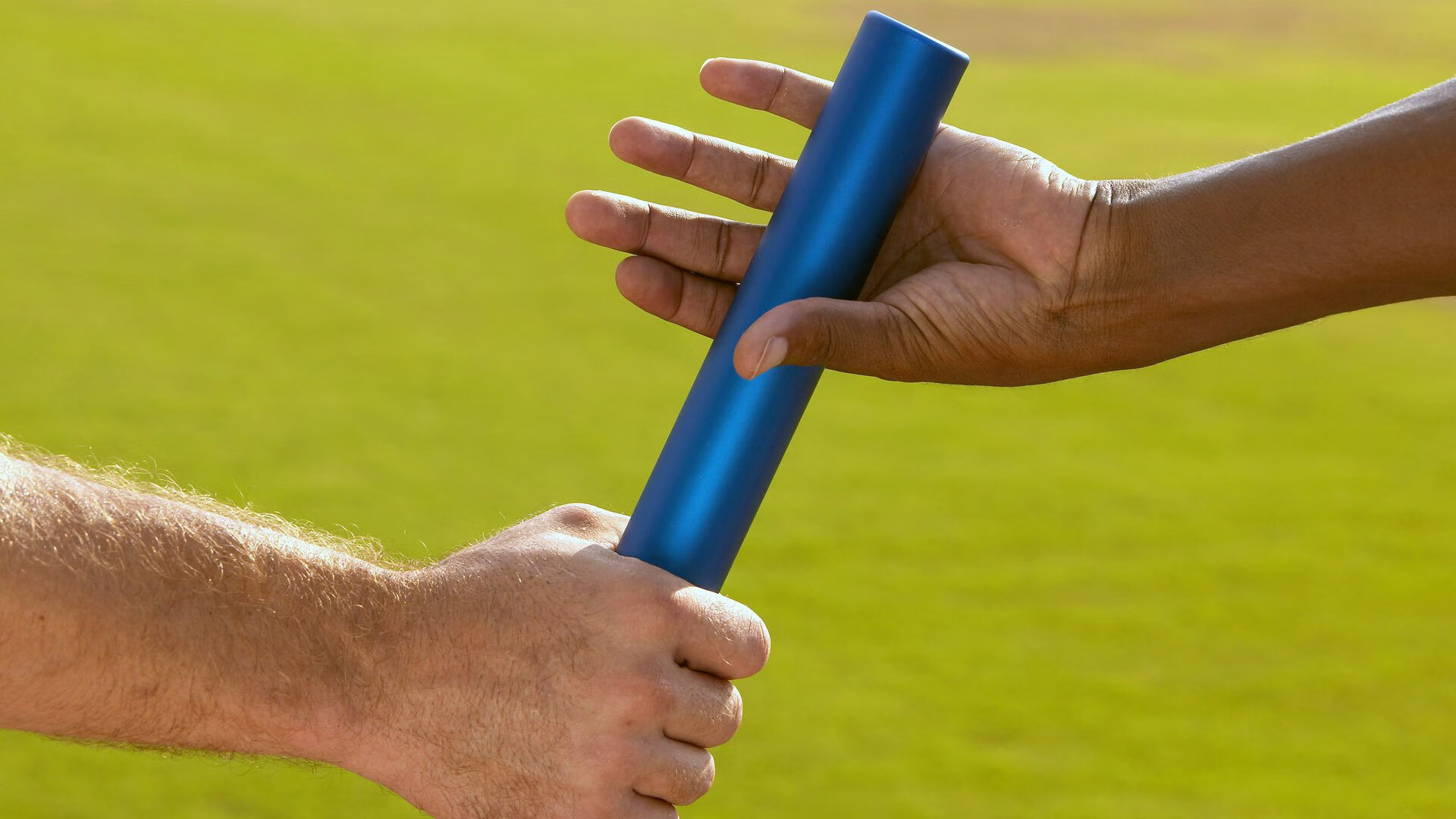 西班牙大学与国际马术组织合作,成立马术科研中心,推动马术科技进步。